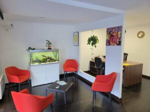 olivier serveau immobilier