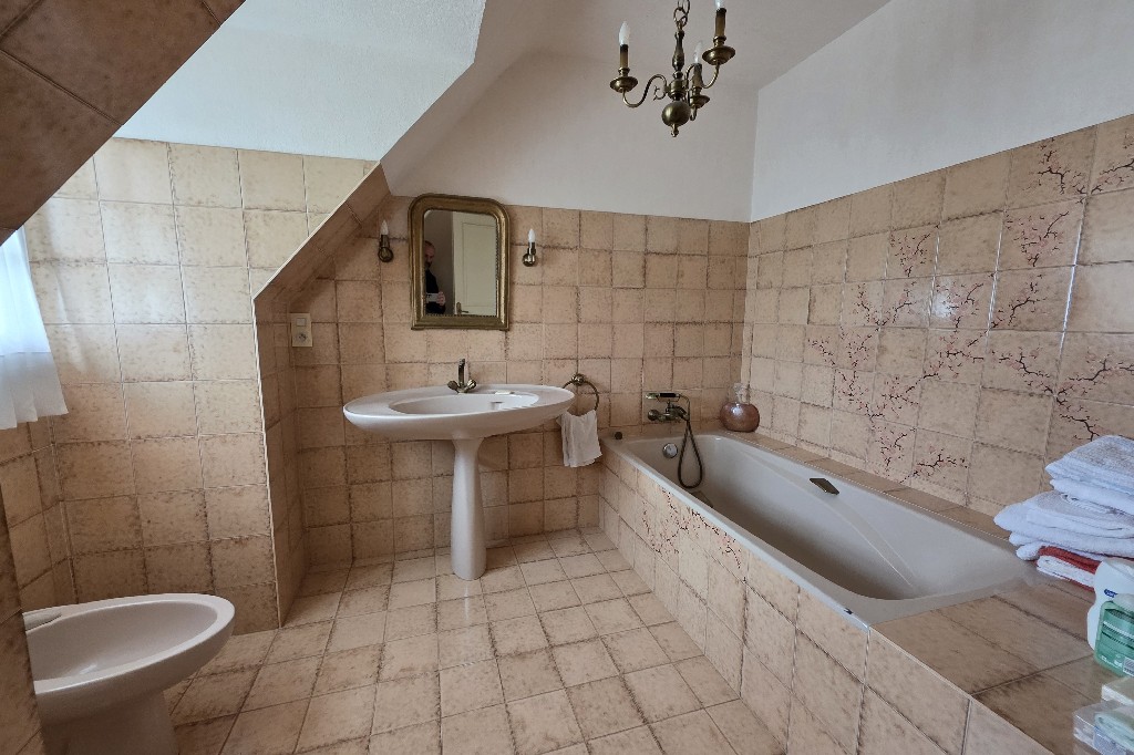 --olivier serveau immobilier