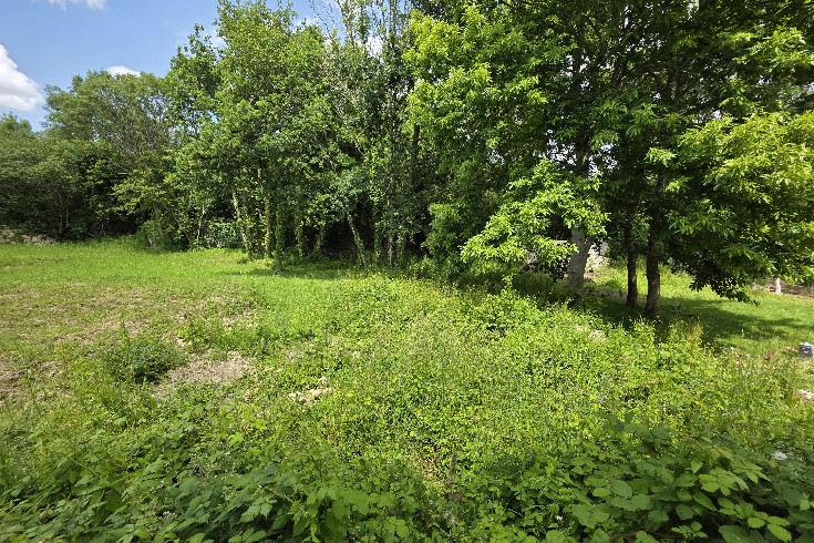 2900-bâtiments à rénover-olivier serveau immobilier