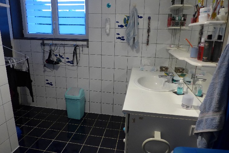 2953-maison proche hÔpital-olivier serveau immobilier