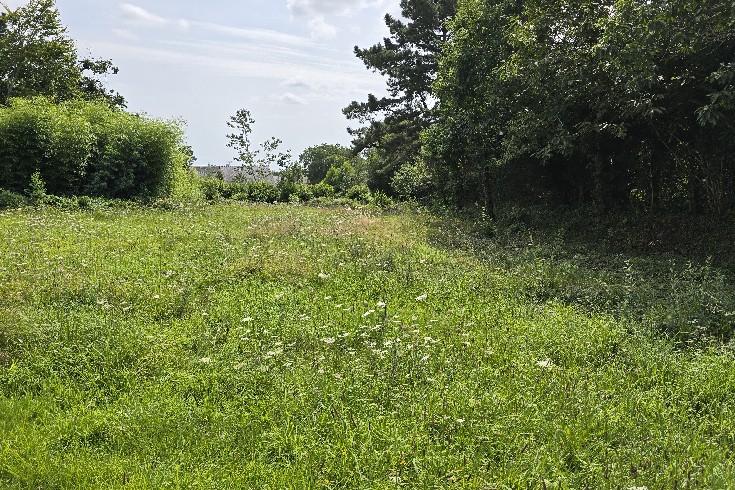 3066-terrain constructible pluguffan-olivier serveau immobilier