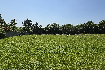 3067-terrain constructible pluguffan-olivier serveau immobilier