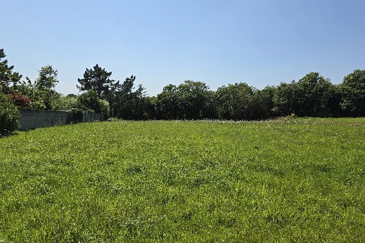 3067-terrain constructible pluguffan-olivier serveau immobilier