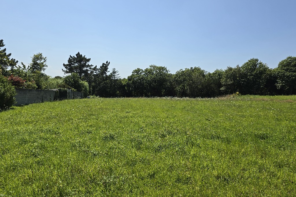 3067-terrain constructible pluguffan-olivier serveau immobilier