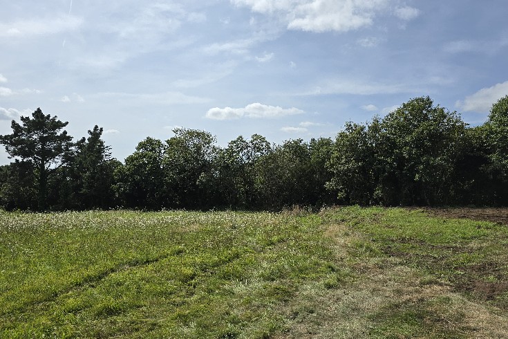 3067-terrain constructible pluguffan-olivier serveau immobilier