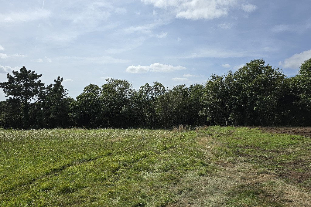 3067-terrain constructible pluguffan-olivier serveau immobilier