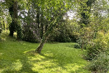 -terrain quimper-olivier serveau immobilier
