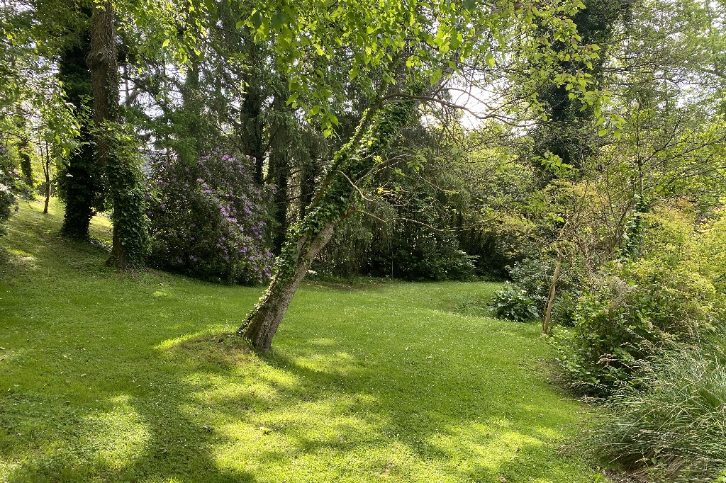 -terrain quimper-olivier serveau immobilier